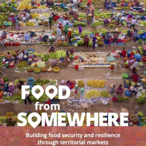 Food from somewhere report cover from IPES-Food