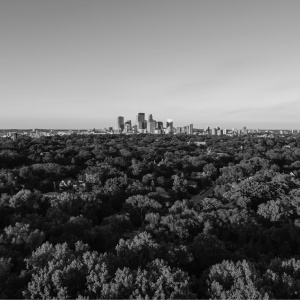 Cityscape between trees and sky in black and white - image by Josh Sorenson, Unsplash