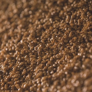 Photo of a heap of grain up close. Credit: North 42 via Pexels