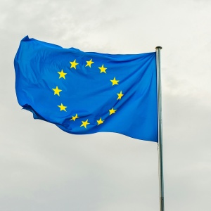 Picture of EU flag. Credit: Dusan Cvetanovic via pexels. 