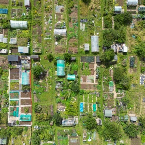 Aerial picture of urban farming. Credit Joe Hayes via Pexels