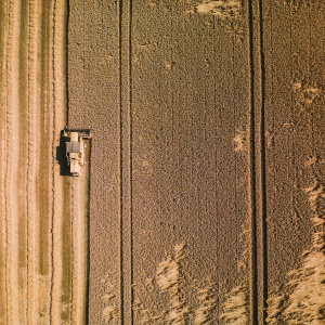 Aerial shot of field with combine harvester. Credit: Timon Reinhard via pexels