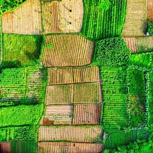 Birds eye photo of fields. Credit Tom Fisk via Pexels. 