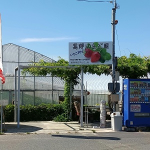 Urban farm in Japan. Credit: Ilidio De Fátimo da silva via Pexels