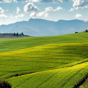 Rolling hills of fields. Credit: Pixabay