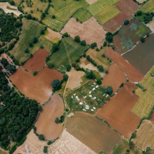 Aerial picture of farms. Credit. mikhail-nilov via Pexels. 