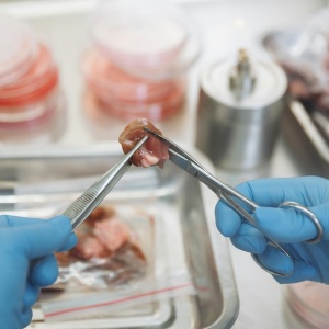 Picture of meat in a lab. Credit: Thirdman via Pexels