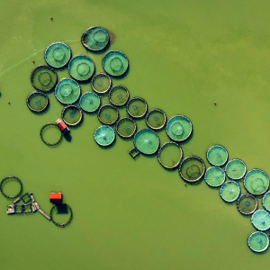 Aerial view of fish farms. Credit: Esra Burcun via Pexels. 