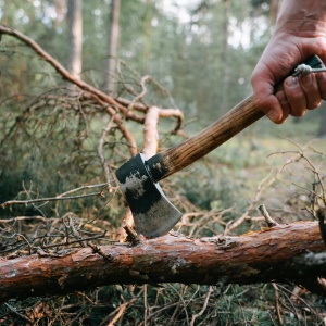 Axe in wood. Credit Ivan Samkov via Pexels 