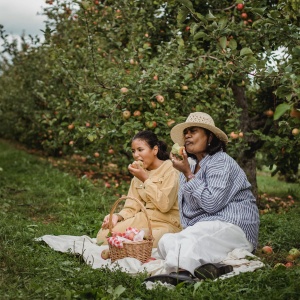 People eating apples in orchards. Credit: Zen Chung via Pexels. 