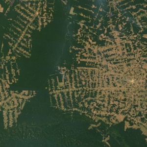 Image: NASA, Deforestation in the state of Rondônia in western Brazil, Wikimedia Commons, Public domain