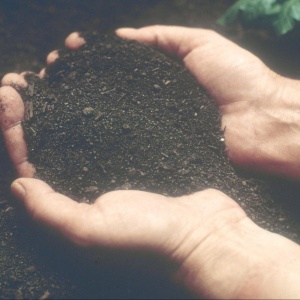 Image: USDA NRCS Montana, Soil Survey, Flickr, Public domain