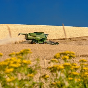 Image: Charles Knowles, Eastern Washington wheat harvest, Wikimedia Commons, Creative Commons Attribution 2.0 Generic
