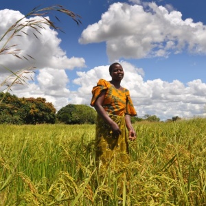 Photo: Oxfam East Africa, Sustainable food for all, Flickr, Creative Commons License 2.0 generic.