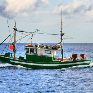 Image: Ian Sherlock, Fishing boat leaving, Canary Islands, Wikimedia Commons, Creative Commons Attribution-Share Alike 2.0 Generic