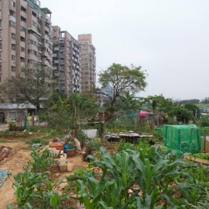 Photo: Shou-Hui Wang, The farm inside the city, Flickr, Creative Commons licence 2.0