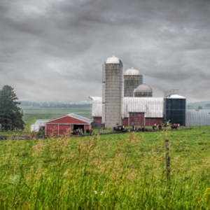 Photo credit: Randen Pederson, Wisconsin Farm, Flickr, Attribution 2.0 Generic 