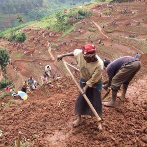 Photo credit: DFID - UK Department for International Development, Women and men in northern Rwanda work on a public works site, building terraces to prevent soil erosion, Flickr, Creative Commons Attribution-ShareAlike 2.0 Generic.