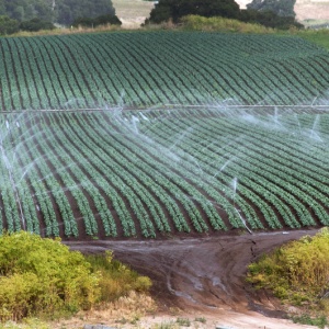 Image: USDA, Sprinkler watering Farm in California, Good Free Photos, Public Domain