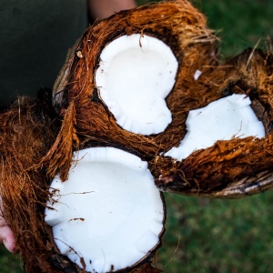 Image: Jonas Dücker, person holding coconut husks, Unsplash, Unsplash licence