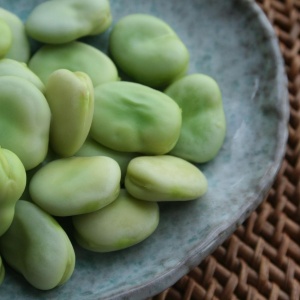 Image: Richard W.M. Jones~commonswiki, Broad beans, shelled and steamed, Wikimedia Commons, Public domain