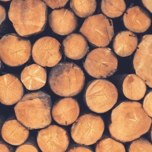 Image: Free-Photos, Wood Logs Lumber, Pixabay, Pixabay Licence