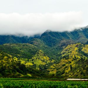 Photo: Jason Jacobs, “Fields of green”, Flickr, Creative commons licence 2.0