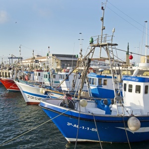 Image: Romaniamissions, Fishing boats Spain, Pixabay, Pixabay Licence