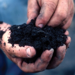 Image: NRCS Soil Health, Touch healthy soil, Flickr, Creative Commons Attribution 2.0 Generic