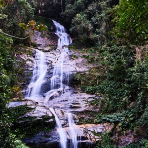 Image: NakNakNak, Rio De Janeiro Brazil Rainforest, Pixabay, Pixabay licence