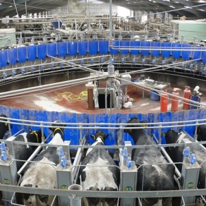 Image: Andy Farrington, Rotary Parlour at Broadwigg Farm, Geograph, Creative Commons Attribution-ShareAlike 2.0 Generic 