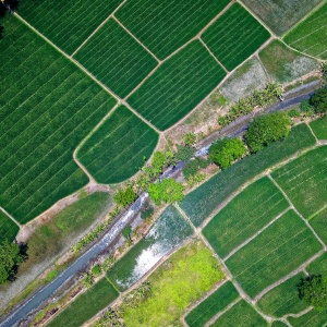 Image: Tom Fisk, Bird's Eye View of River in Middle of Green Fields, Pexels, Pexels Licence