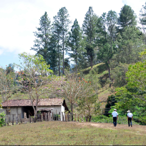 Photo: Neil Palmer, CIAT Nicaragua, Flickr Creative commons licence 2.0  generic