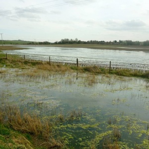 Image: Fly, Flooded fields at Churn, Geograph, Creative Commons Attribution-ShareAlike 2.0 Generic
