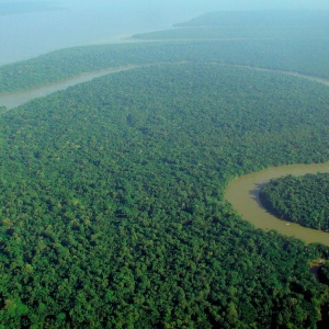Image: lubasi, Aerial view of the Amazon Rainforest, Wikimedia Commons, Creative Commons Attribution-Share Alike 2.0 Generic