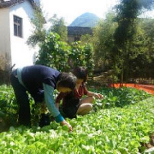  Photo: Global Water Forum, Agriculture in China, Creative Commons License 2.0 