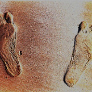 Photo: Pejman Parvandi, Footprint, Flickr, Creative Commons License 2.0