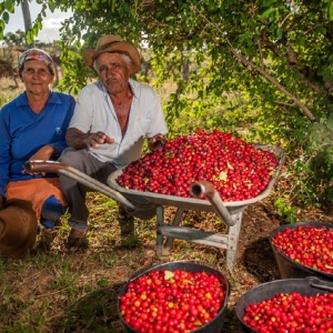 Image: World Resources Institute, Two farmers in Brazil with their acerola berry harvest, Wikimedia Commons, Creative Commons Attribution-Share Alike 4.0 International