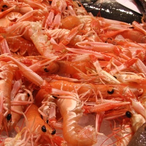 Photo: S Khan, Shrimps, Flickr, Creative Commons License 2.0 generic.