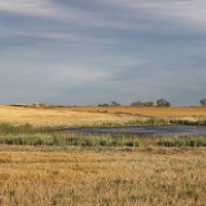 Photo: USFWS Mountain-Prairie, Wetlands in Croplands, Flickr, Creative Commons License 2.0