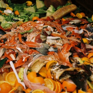 Photo: Taz, Food waste. Peering into a dumpster at the GI Market, Flickr, Creative Commons licence 2.0